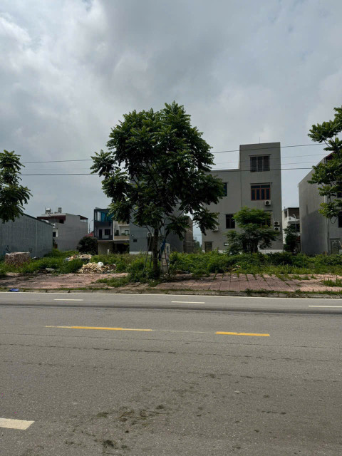BÁN ĐẤT MẶT ĐƯỜNG TRỤC CHÍNH CHỢ HOA QUẢ – PHƯỜNG TÂN MỸ, THÀNH PHỐ BẮC GIANG – GIÁ CHỈ 4,8 TỶ