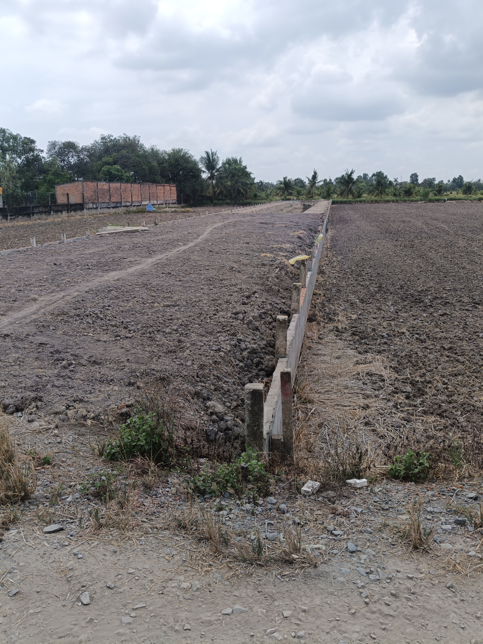 Bán đất 1000m² 3 tỷ tại Xã Tân Nhựt Huyện Bình Chánh