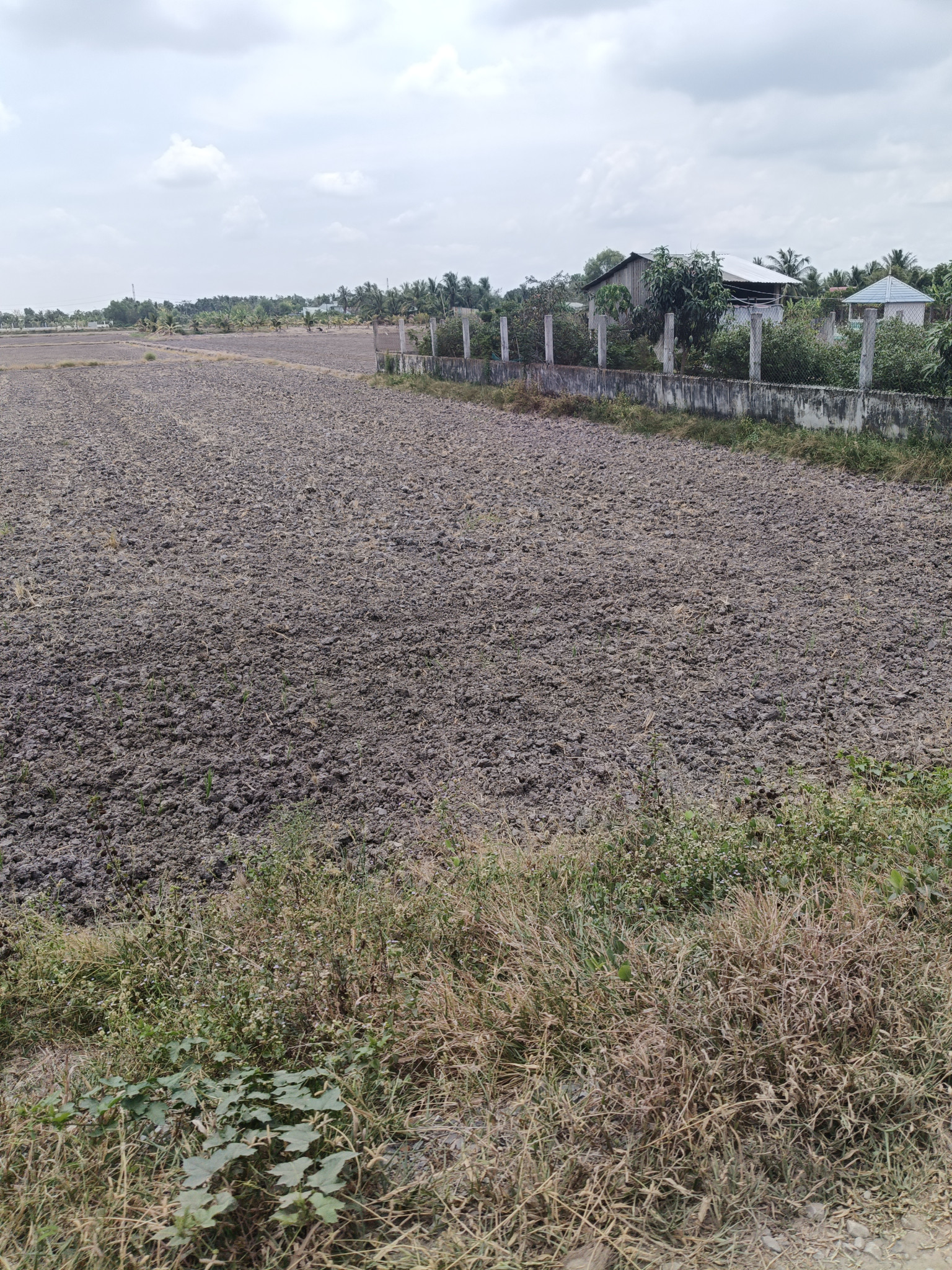 Bán đất 2728.6m² 7 tỷ tại Xã Tân Nhựt Huyện Bình Chánh