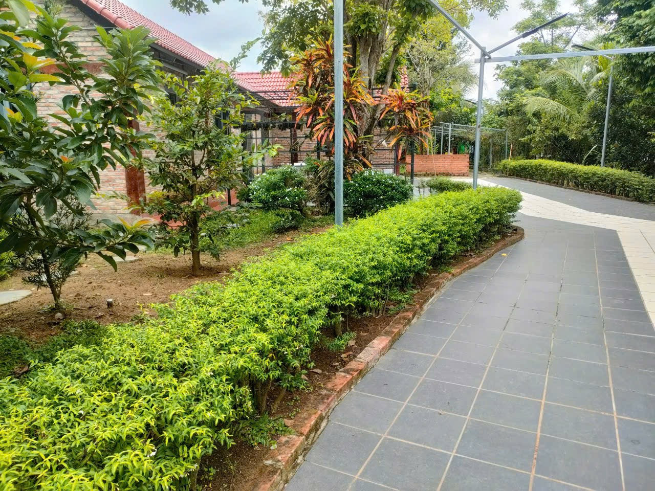 Bán đất 6450m² ngang 50m giá 16 tỷ tại Xã Tân Nhựt Huyện Bình Chánh