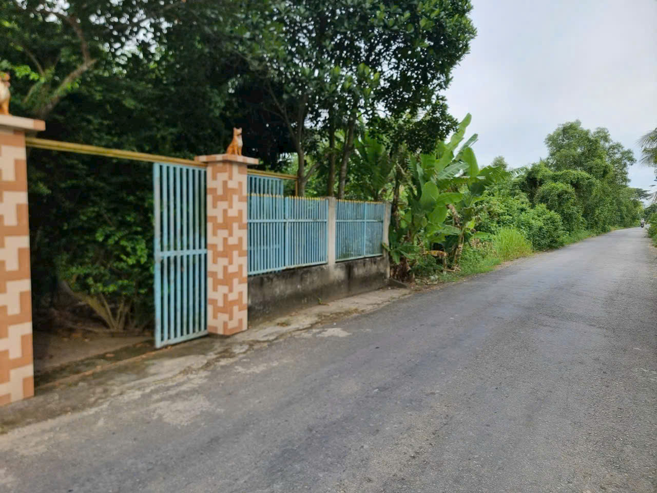700m2 đất ( có 300m2 thổ) mặt tiền đường Trương Văn Đa, xã Tân Nhựt giá 7 tỷ
