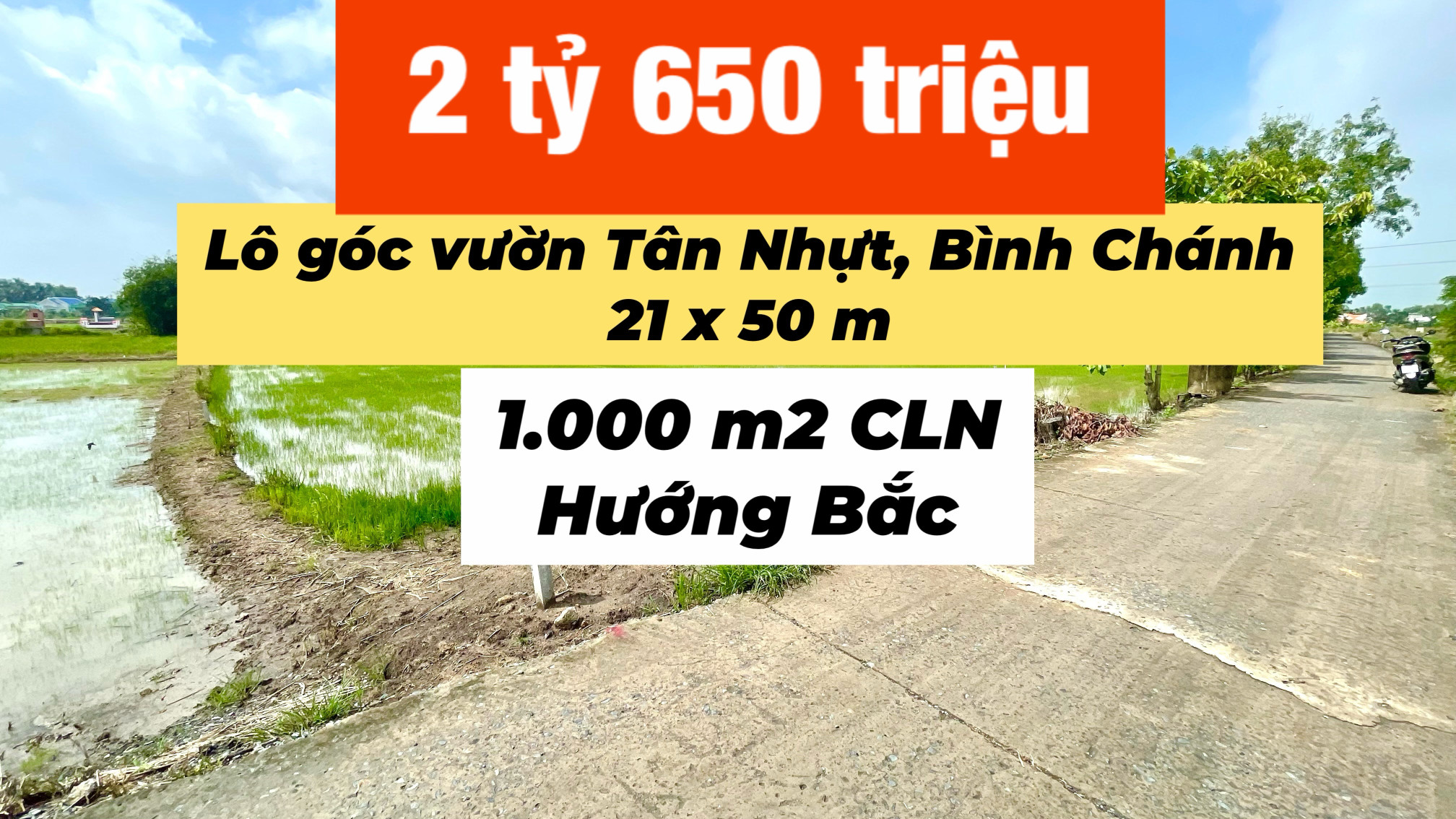 Đất vườn mặt tiền Tân Nhựt giá cực tốt