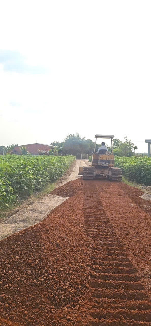 Bán đất thổ cư chỉ 159 triệu tại Xã Tân Phong Huyện Tân Biên tỉnh Tây Ninh