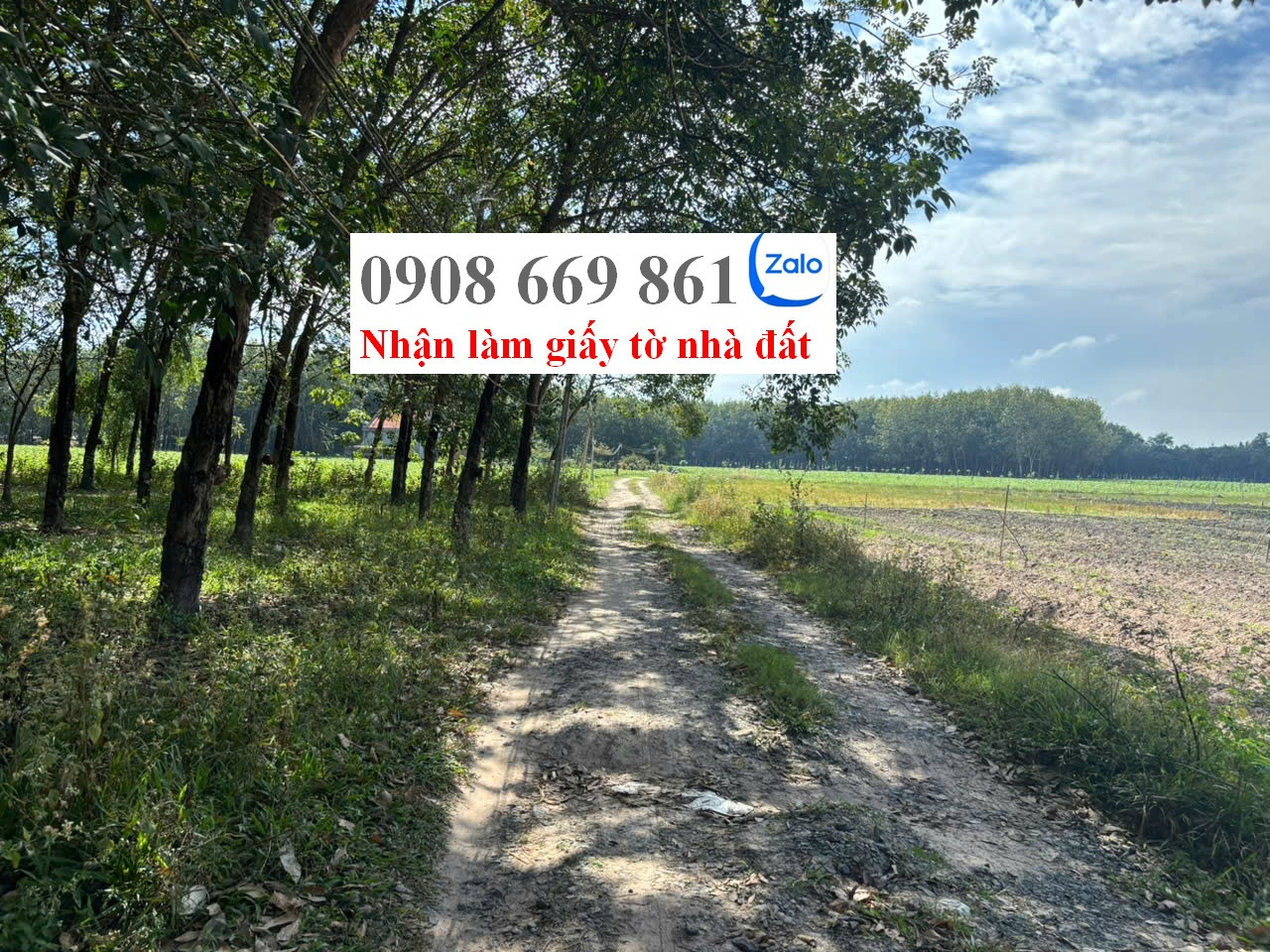 bán đất . DT 150 m2 . xã tân phong . tân biên