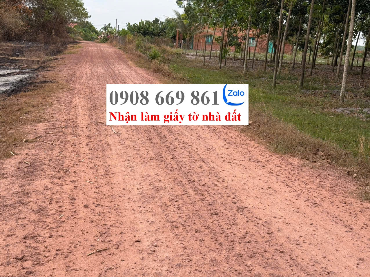 bán đất . DT 1204 m2 phù hợp chuyển thổ cư . xã tân phong . tân biên