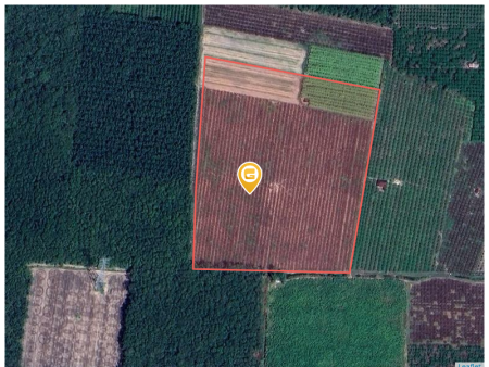 Bán đất 250m² giá 700 triệu