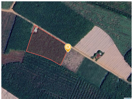 Bán đất 200m² ngang 5m giá 525 triệu tại Xã Tân Phong Huyện Tân Biên