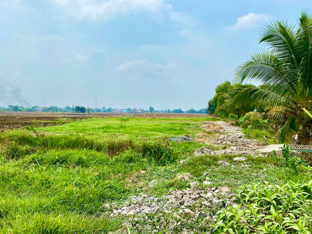 bán đất lúa giá rẻ