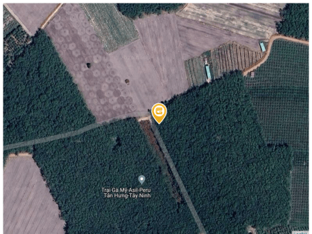 Bán đất 2087m² 1.34 tỷ tại Xã Tân Phú Huyện Tân Châu