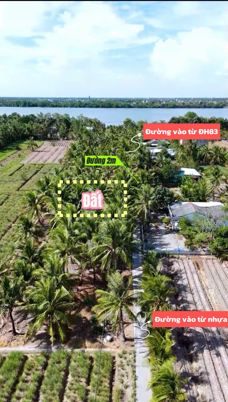Cù lao Tân Phú Đông - mặt tiền bê tông - sẵn thổ