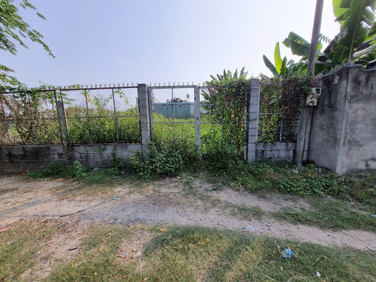 (L613) Đất 1/ Giồng Cát, xã Tân Phú Trung, dt 292m2, thổ 100m2, giá 2 tỷ 650
