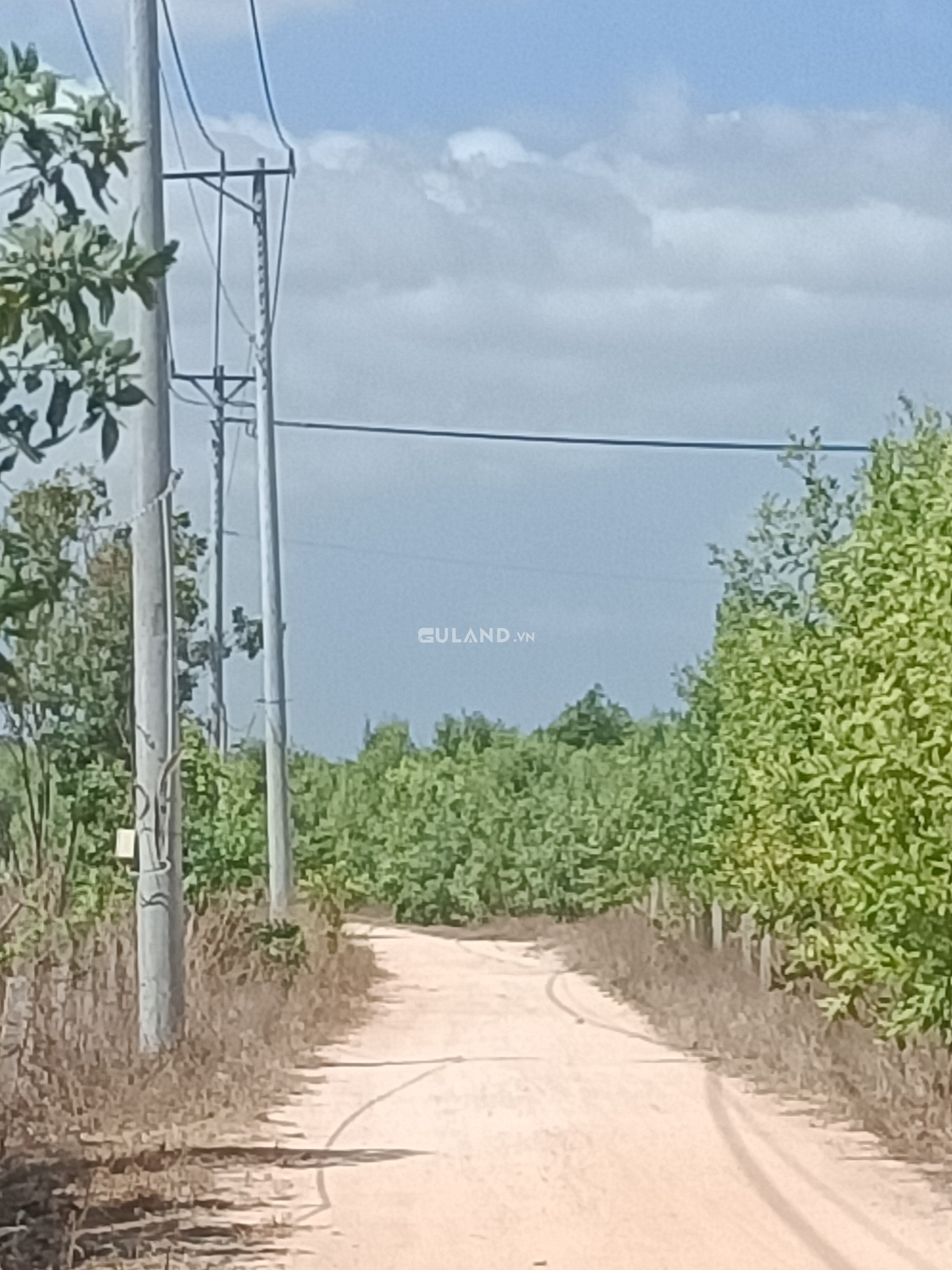 Bán 4,5 ha đất nông nghiệp gần biển Cam Bình, đường rộng, ra bãi tắm Cam Bình, Lagi chỉ 2,5 km