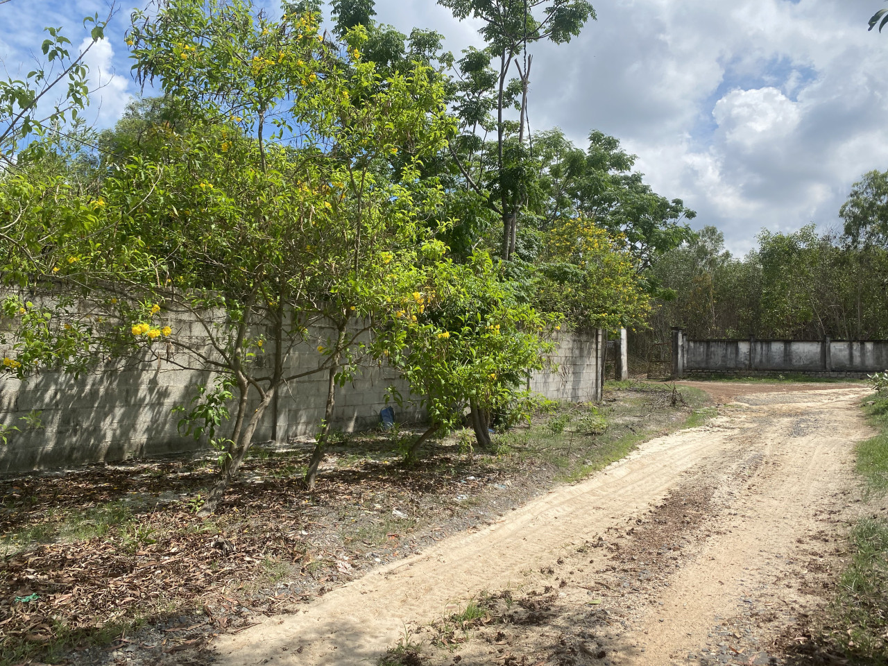 Bán 2282m2 đất Tân Phước - TX LaGi giá ngộp sổ hồng riêng