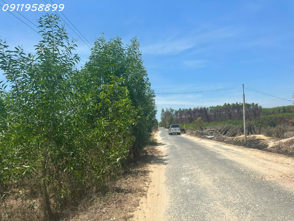 Bán 27 x 47m đất mặt tiền Lý Nam Đế, thị xã LaGi giá ngộp 100tr/m ngang