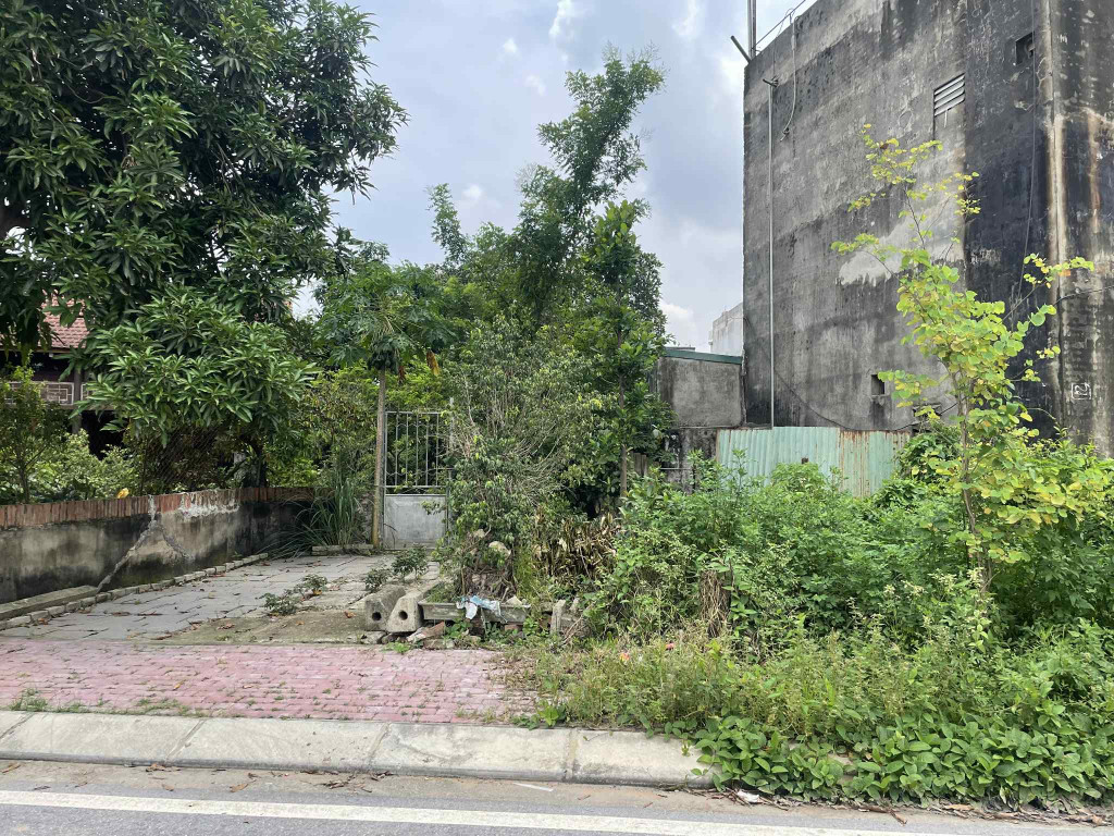 Đất đấu giá Trung Ngọc, Tân Quang, Văn Lâm