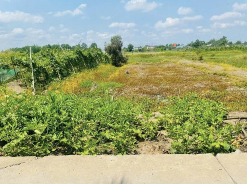 Bán 1068m2 đất lúa đường Tổ 14, Tân Quý Tây, Bình Chánh