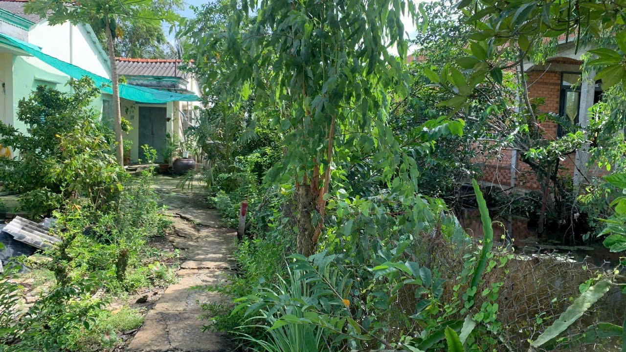 Bán đất 100.2m² ngang 7m giá 279 triệu tại Xã Tân Tập Huyện Cần Giuộc