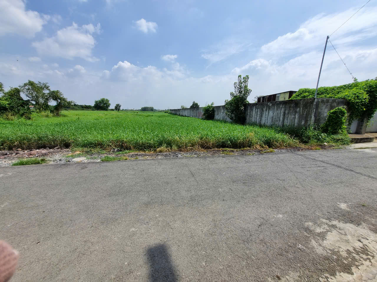 (B422) Đất 1/ Đường 107 gần  Chợ Sáng Tân Thạnh Đông, dt 1.853m2 thổ 300m2, giá 11 tỷ 500
