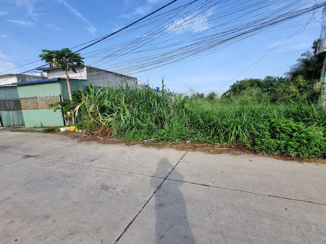 (L619) Đất xã Tân Thạnh Đông, dt 780m2, thổ 197m2, giá chỉ 4 tỷ 500