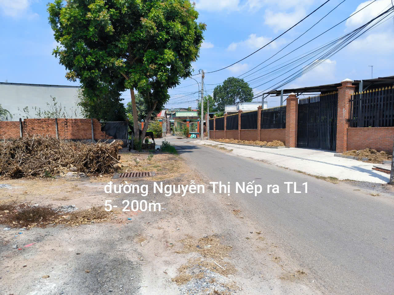 Bán đất mặt tiền đường Nguyễn Thị Nếp, Xã Tân Thạnh Đông, Củ Chi – 795m² – 2 mặt tiền nhựa – Chỉ 8.7 tỷ đồng