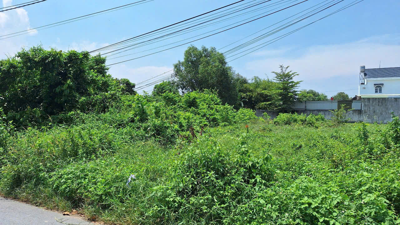 (L684) Đất mặt tiền Đường 130 (1/ Tỉnh Lộ 15), xã Tân Thạnh Đông, dt 250m2, full thổ cư, đất ở hiện hữu, giá 3 tỷ 600