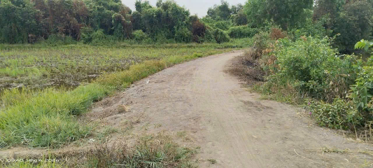 (L382) Đất xã Tân Thạnh Đông, dt 1.149m2, giá 2 tỷ 800
