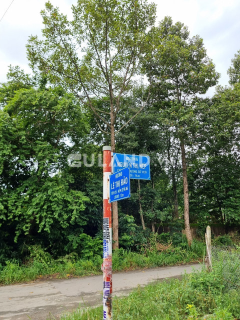 (L428) Đất đường Nguyễn Thị Nếp, xã Tân Thạnh Đông, dt 152m2, chỉ 2 tỷ 500