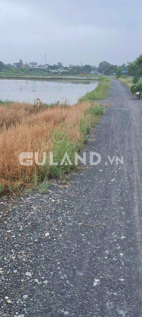 (L430) (Đã bán)  Đất cây nông nghiệp khác,  gần Bến Than, xã Tân Thạnh Đông, dt 2000m2, chỉ 3 tỷ 200