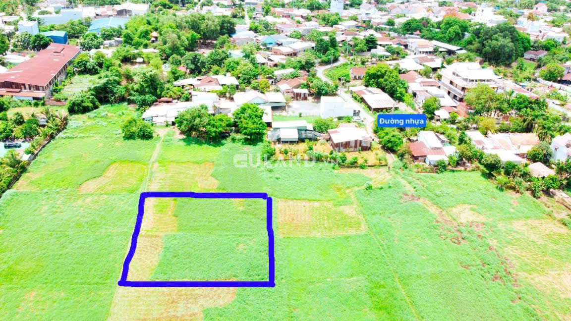 (S369) Đất lúa quy hoạch đất ở, xã Tân Thạnh Đông, dt 1289m2, chỉ 1 tỷ 400