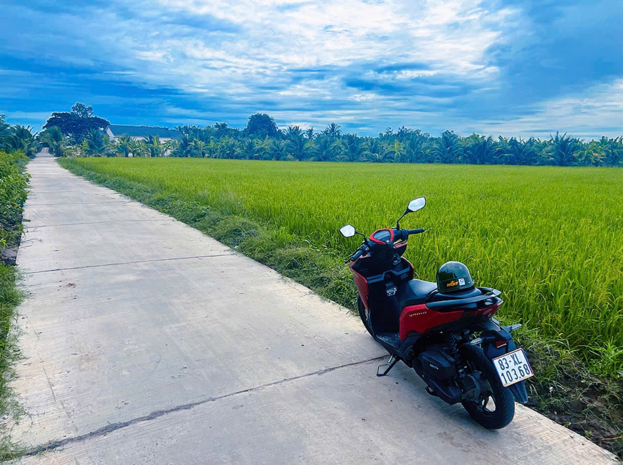 Bán đất 5372.7m² ngang 118m giá 1.34 tỷ Xã Tân Thạnh