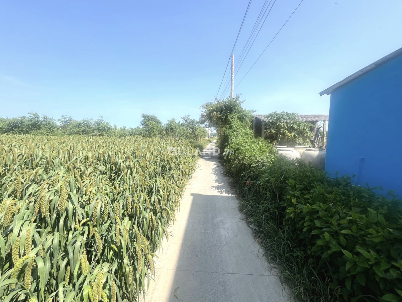 (20x31) đất thổ vườn, cách nhựa HL07 chỉ 30m, gần biển Tân Thành, Gò Công Đông, Tiền Giang