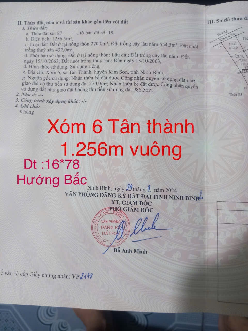 Bán Đất Mặt Tiền Lộ Nhựa – Ngang 16m – 1.256m² – Tân Thành, Kim Sơn, Ninh Bình