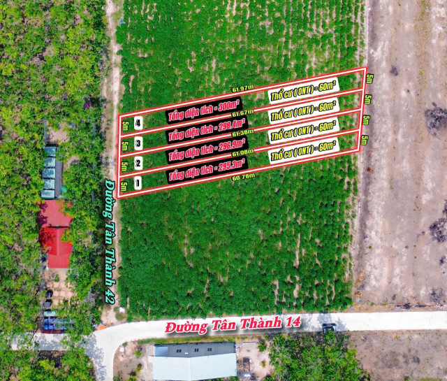Bán đất 300m² 239 triệu tại Xã Tân Thành Huyện Tân Châu