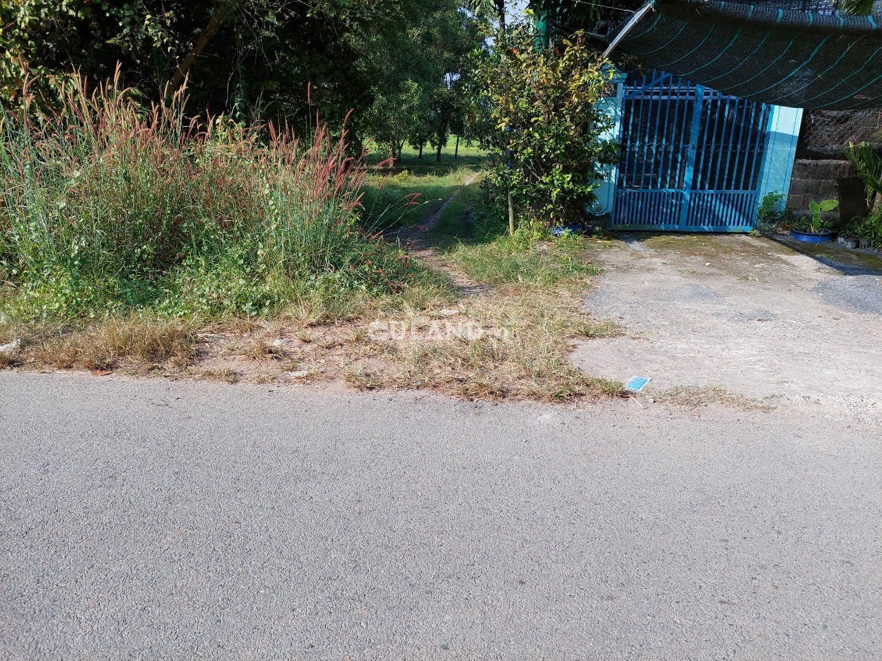 (N24) Đất 1/Hồ Thị Bưng, xã Tân Thạnh Tây, dt 844m2, chỉ 2 tỷ 650.