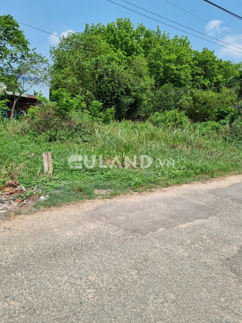 (S245) Đất 1/Tỉnh Lộ 8 (đường Nguyễn Thị Quơ), xã TânThạnh Tây ,dt 130m2, chỉ 1 tỷ 900
