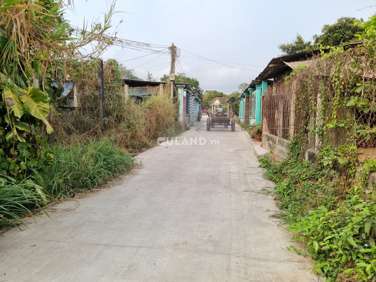 (S263) Đất gần Trường Tiểu Học, xã  Tân Thạnh Tây, dt 249m2 chỉ 1 tỷ 850