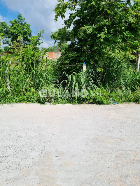 (S295) Đất 1/Tỉnh Lộ 8,  xã Tân Thạnh Tây, dt 136m2, chỉ 1 tỷ 700