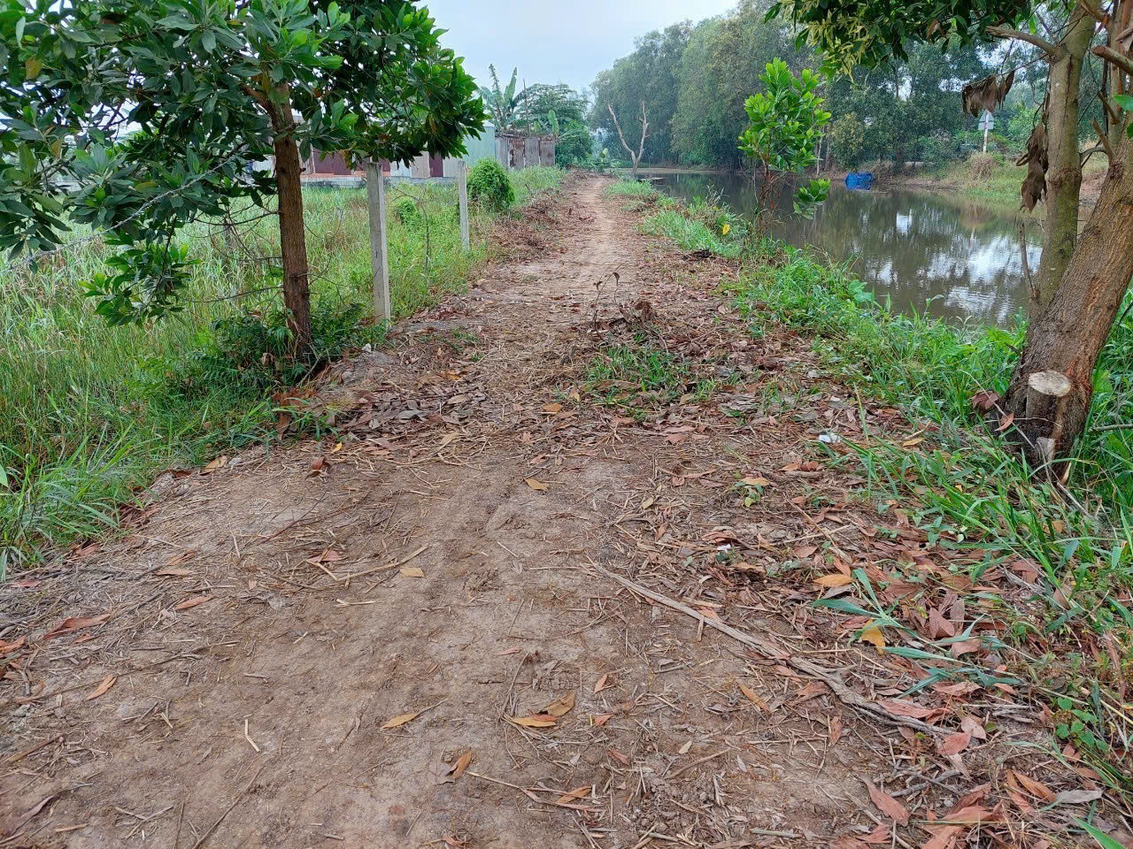(L168) Đất cây lâu năm, xã Tân Thạnh Tây, dt 1.658m2, giá chỉ 2tr/m2