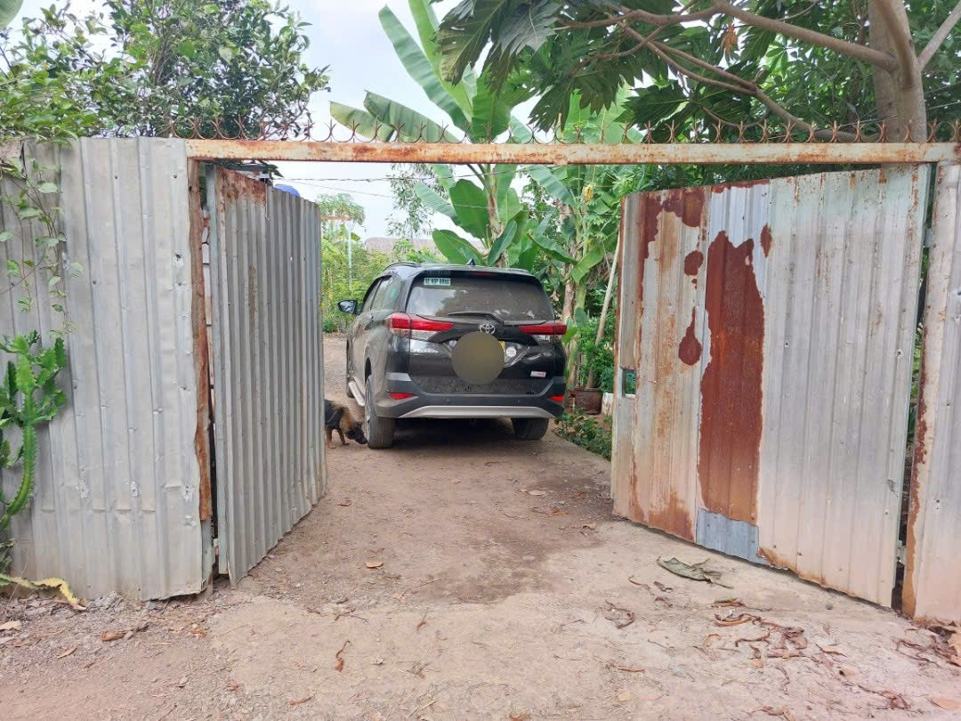 (L340) Đất cây lâu năm , xã Tân Thạnh Tây, dt 3000m2,  đường xe hơi,, có sẵn Ao,  vườn trái cây, giá 7 tỷ
