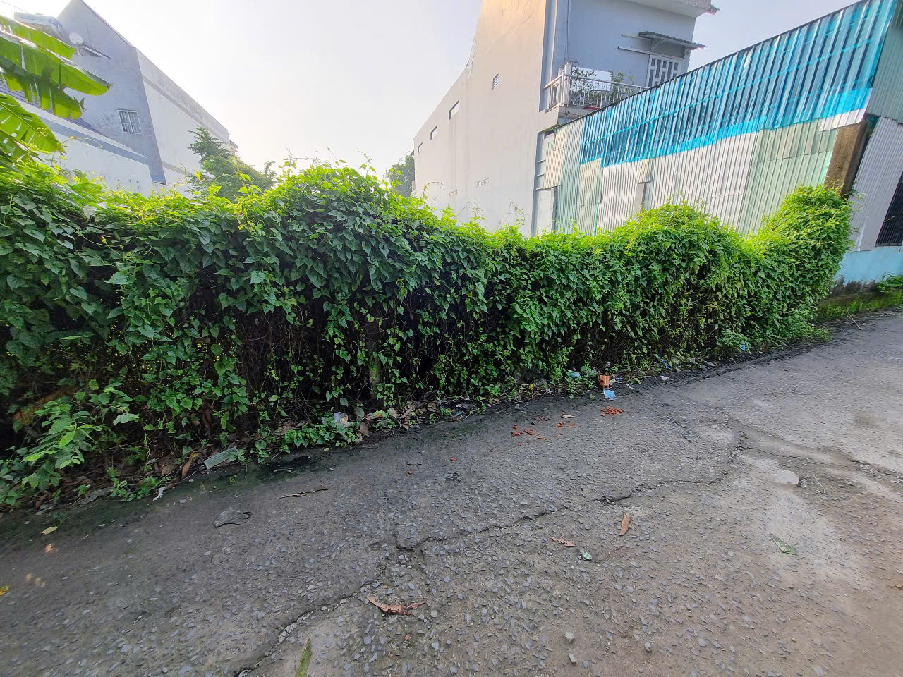 (L686) Đất gần Ngã Tư Tân Quy, xã Tân Thạnh Tây, dt 185m2, giá 2 tỷ 600