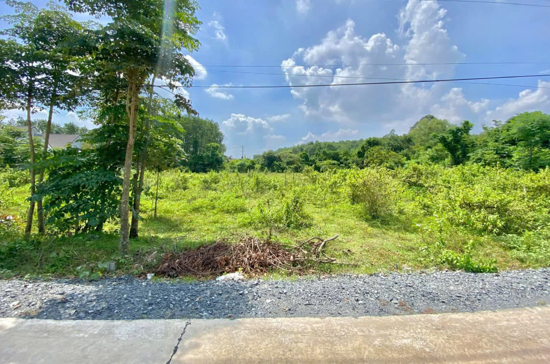 🏡 Bán Đất MT Tân Thông Hội SHR Công Chứng Sang Tên Ngay Giá Chỉ 1.5 tỷ 🔥
