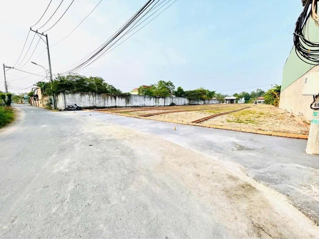 BÁN GẤP ĐẤT MẶT TIỀN ĐƯỜNG TỈNH LỘ 8 - VỊ TRÍ VÀNG XÃ TÂN THÔNG HỘI, CỦ CHI