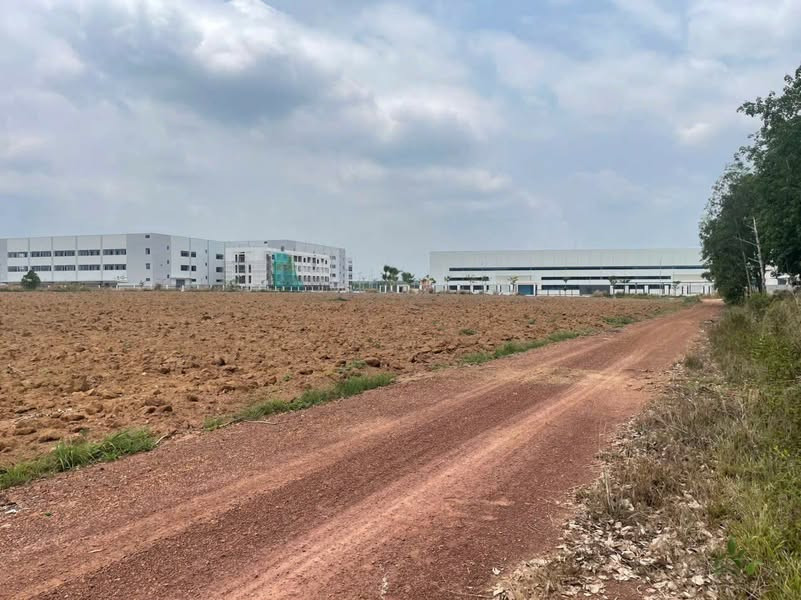 1 sào 3 đất cây lâu năm giá 400 sổ sẵn  . lh: 0981665477