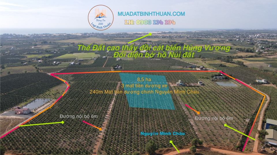 Bán  đất thổ cư 76000m² , giá 55 tỷ tại, Xã Tân Tiến, Thị xã La Gi, Bình Thuận