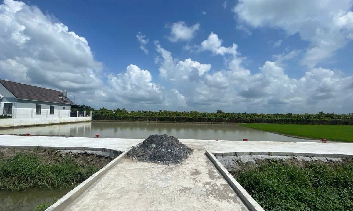 Bán Nền Thổ MT Kênh Lộ Đình 6m Có Sẵn Cầu Và đường Bê Tông 3m Trước đất X.Tân Trụ T.Tây Ninh