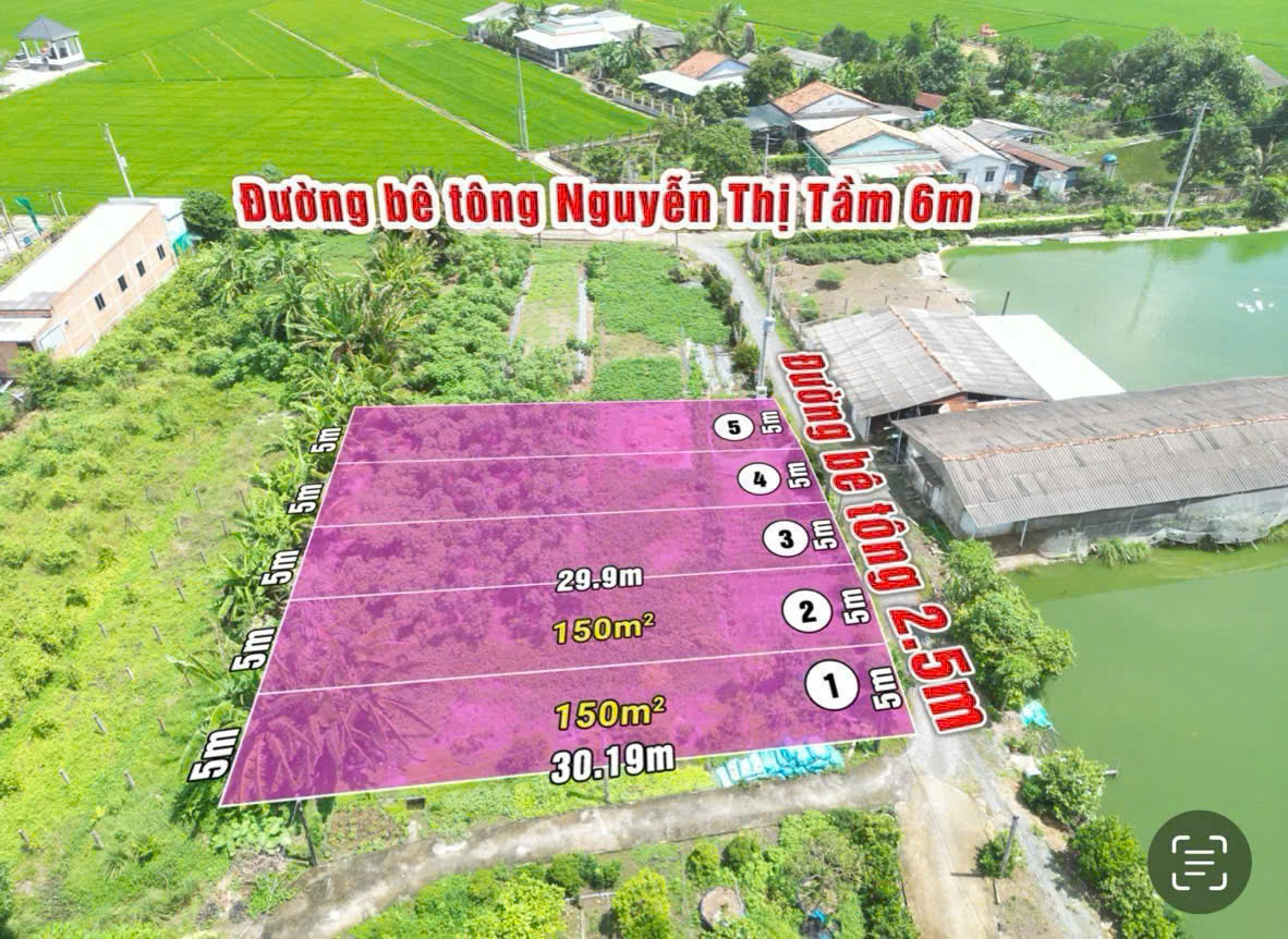 Bán nền thổ 5x30 MT Nguyễn Thị Tầm vô 900m cách TL833 Chợ Bình Lãng chỉ 1km Xã Tân Trụ Tỉnh Tây Ninh