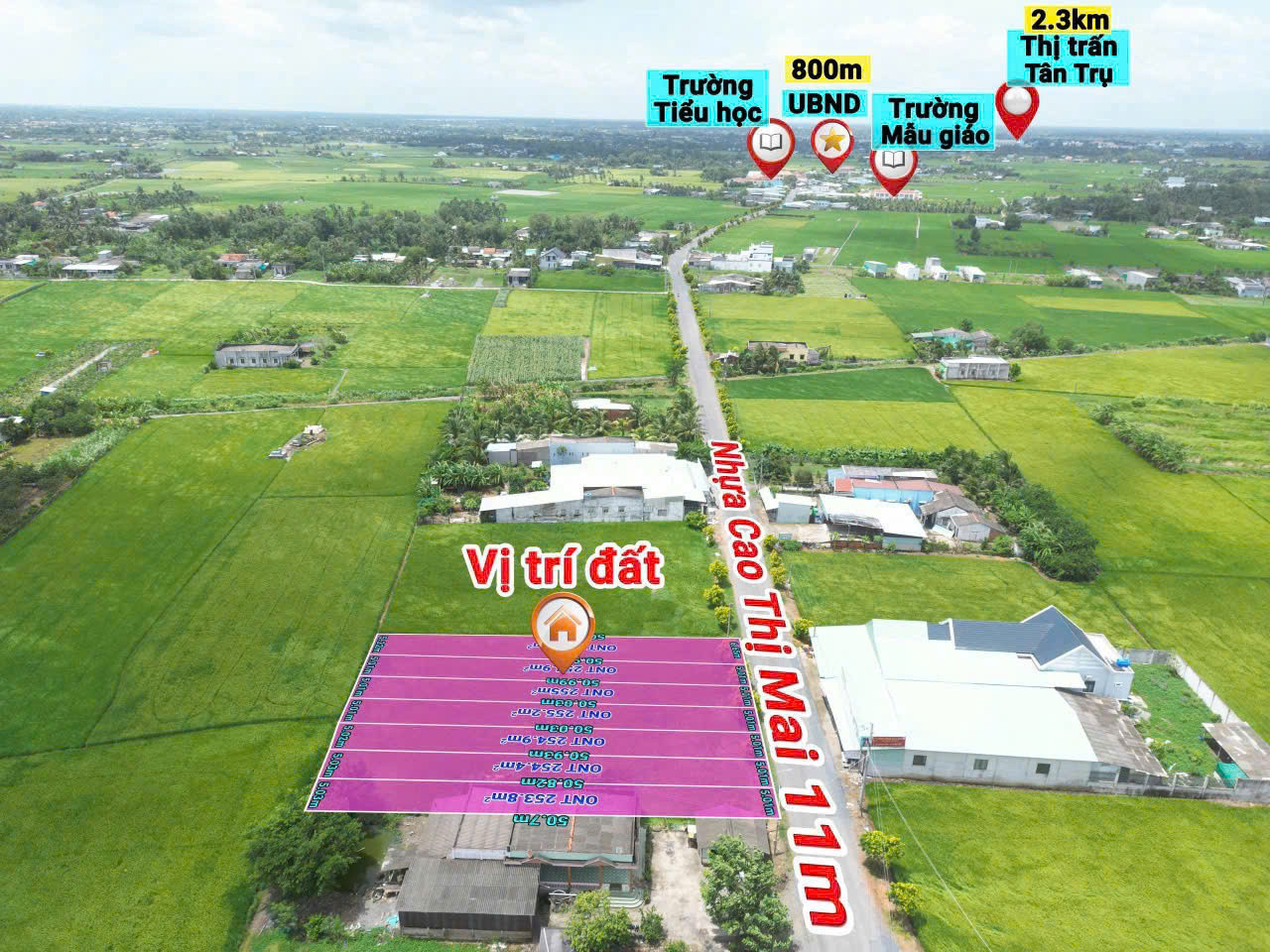 Bán  nền thổ 5x50 MT nhựa Cao Thị Mai Phù hợp kinh doanh mua bán Tại Xã Tân Trụ TỈNH Tây Ninh