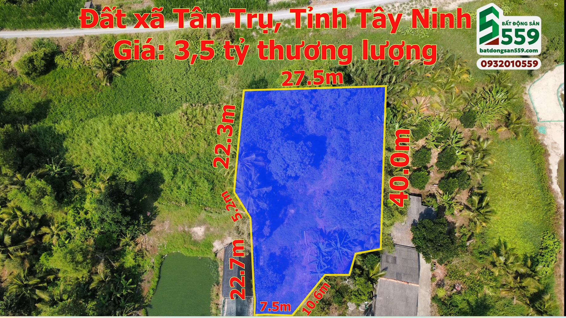 Chính chủ bán đất xã Tân Trụ, Tỉnh TÂY NINH