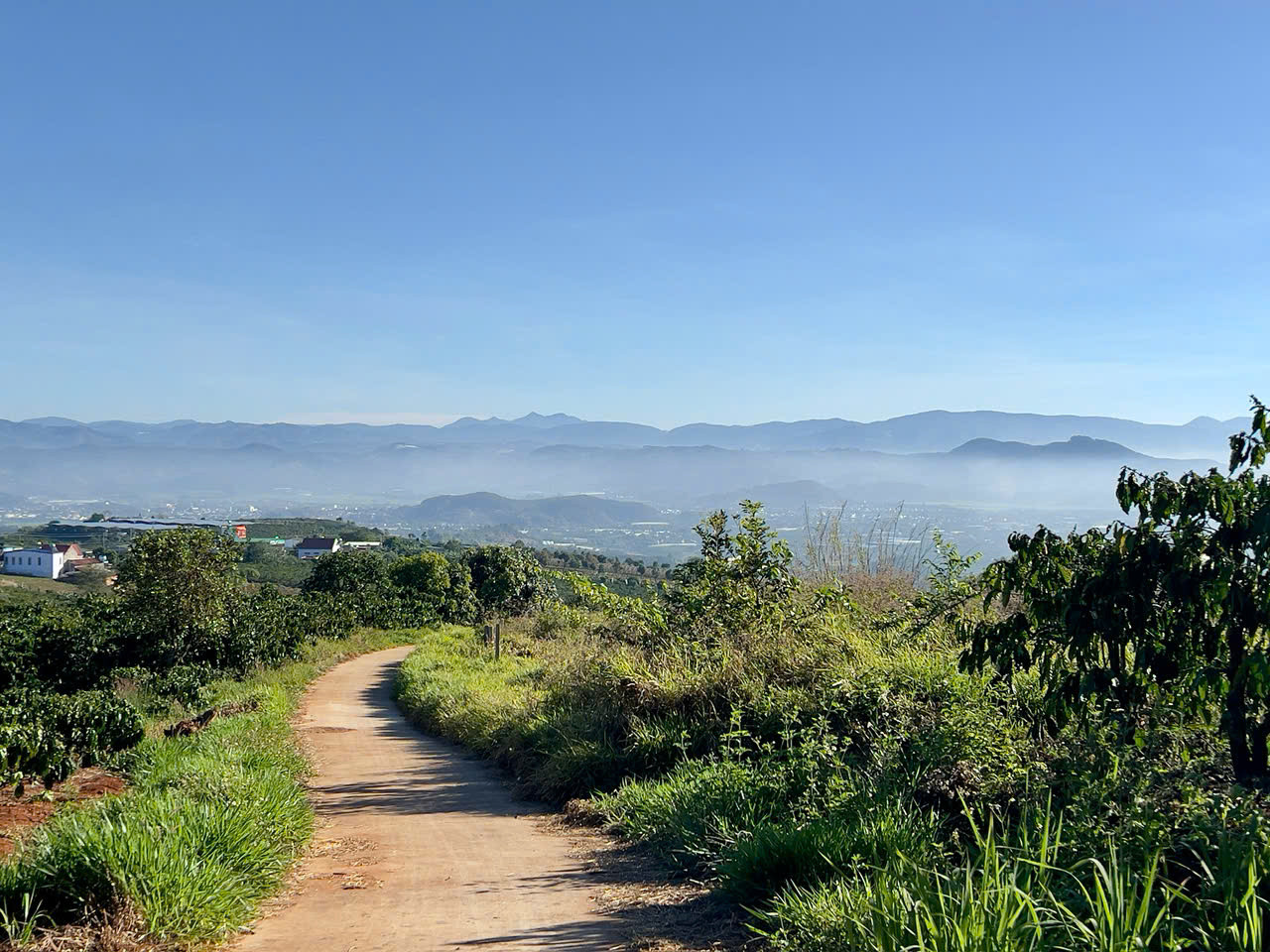 Bán đất Tân Văn, Lâm Hà, Lâm Đồng view săn mây giá 429tr/ lô