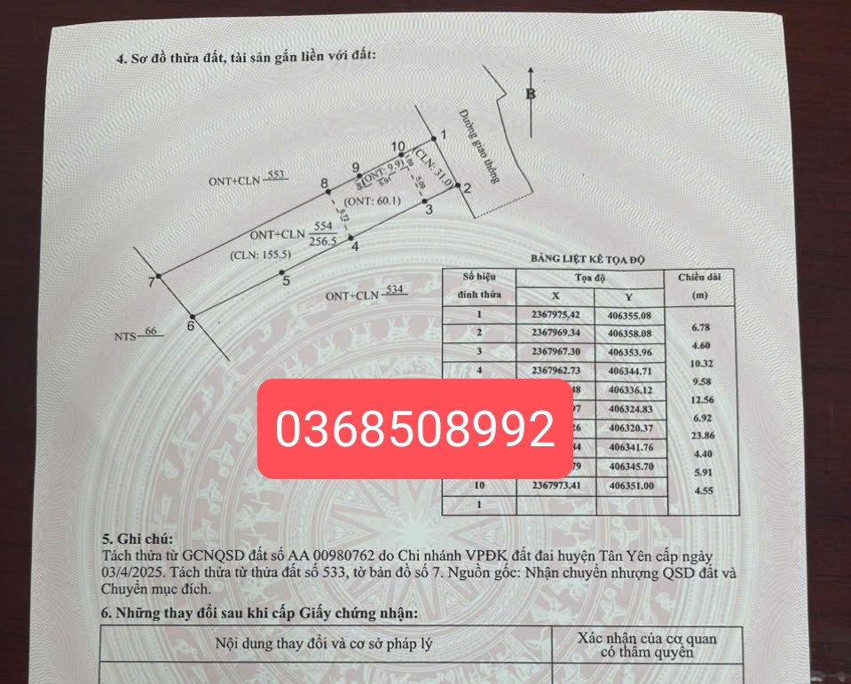 Bán đất 256m² ngang 6,7m giá 1.25 tỷ Xã Tân Yên